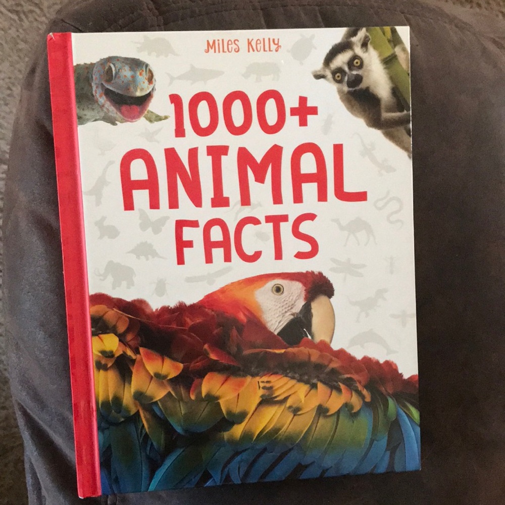 1000+ Animal Facts